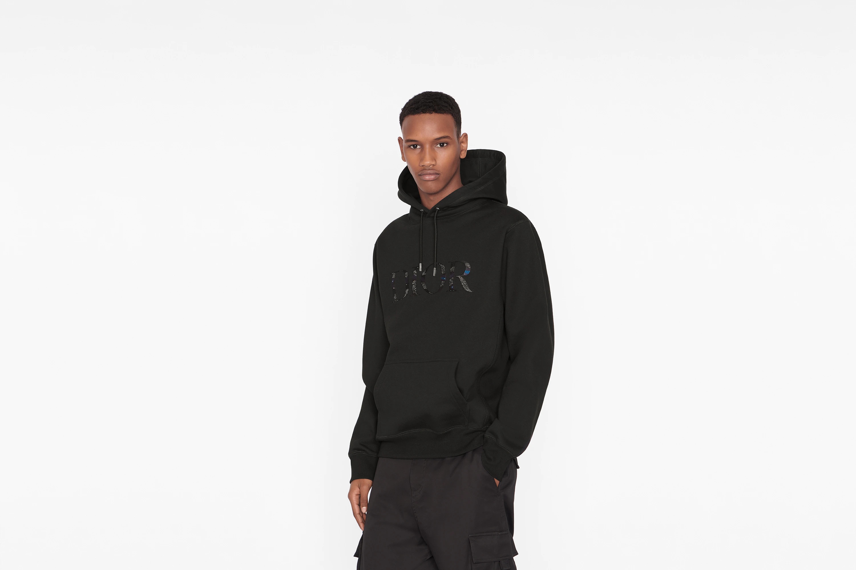 Oversized DIOR AND PETER DOIG Hooded Sweatshirt - 6