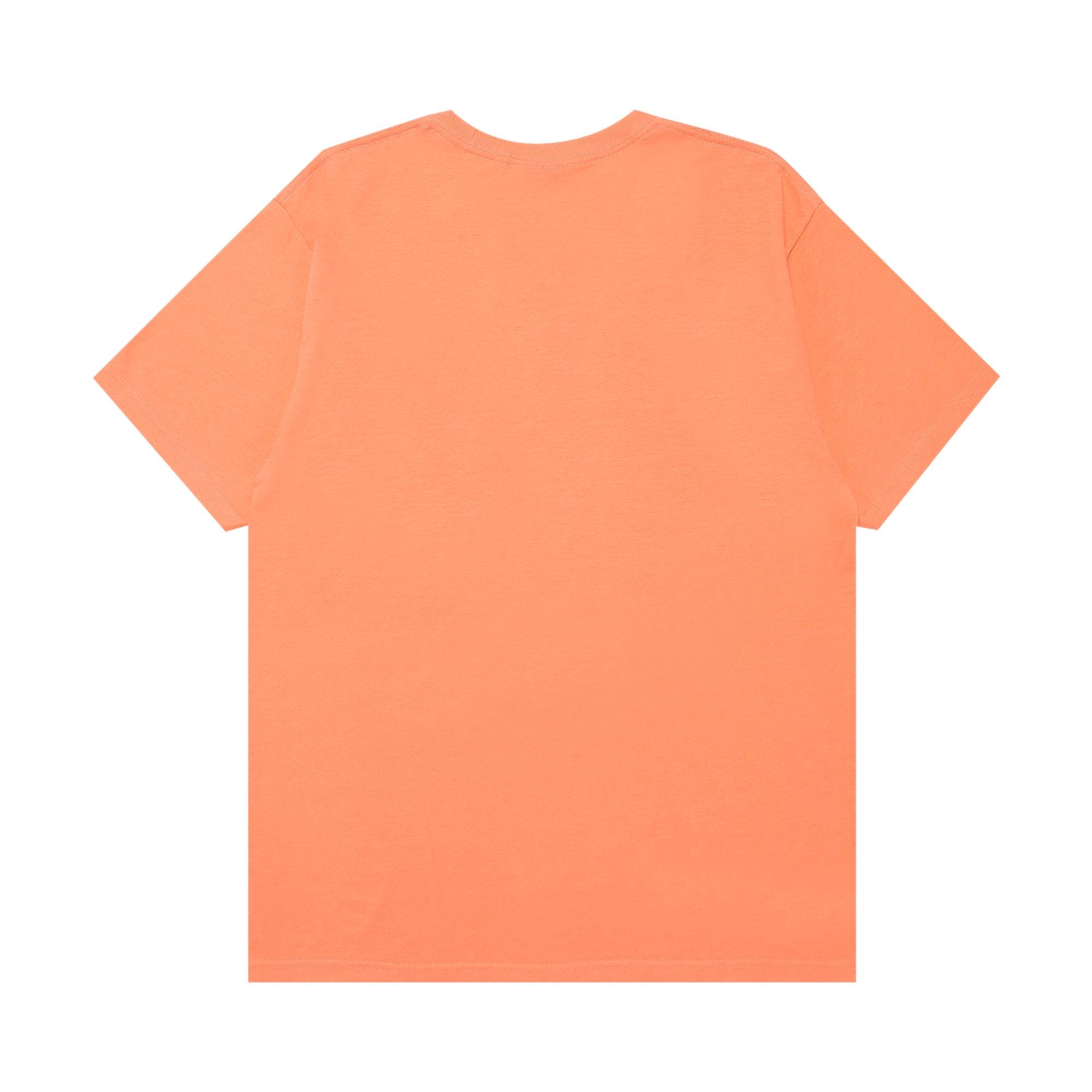 Stussy Tribes Like Us Tee 'Pale Red' - 2