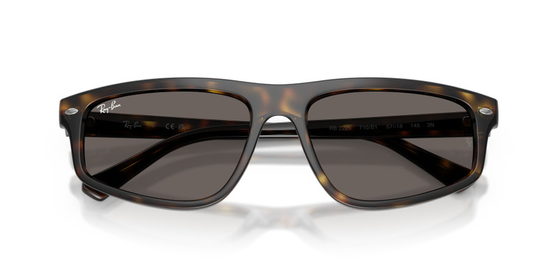 Ray-Ban RB2225 outlook