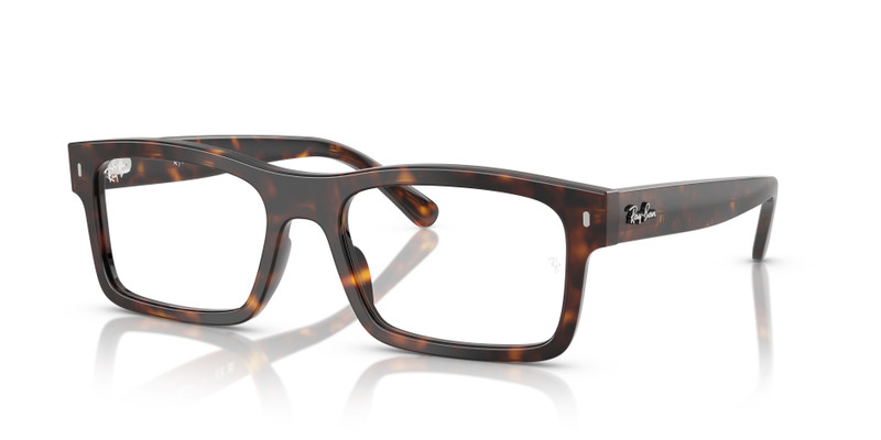 RB5435 OPTICS 1