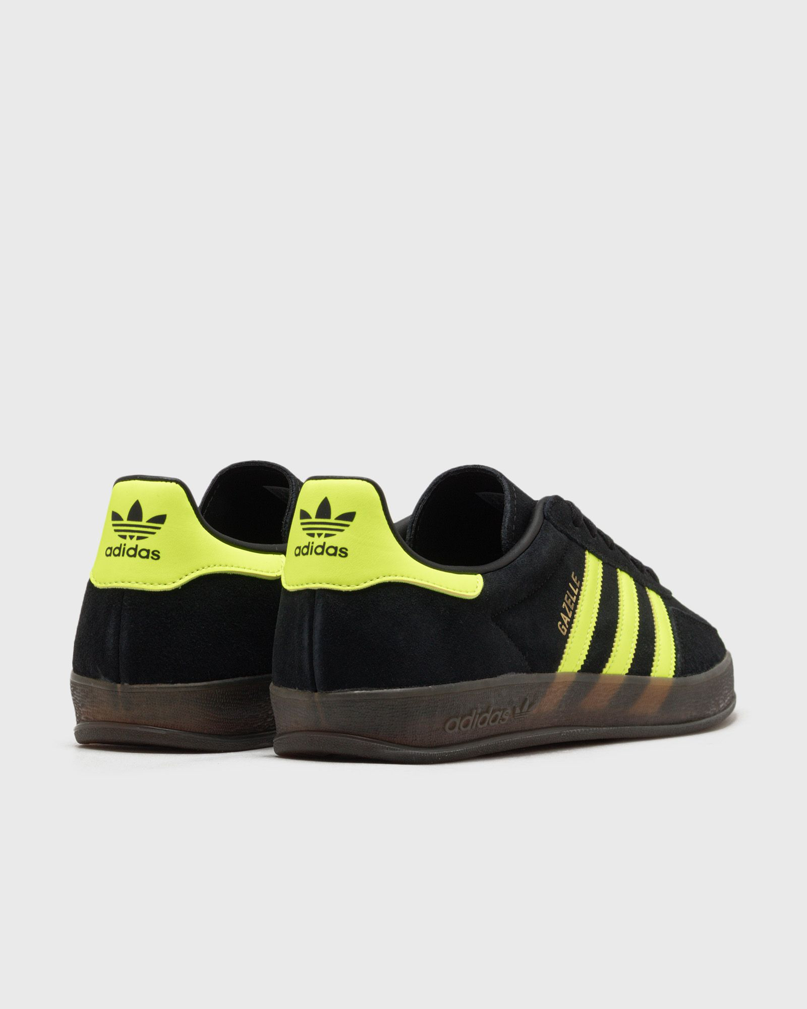 GAZELLE INDOOR - 4