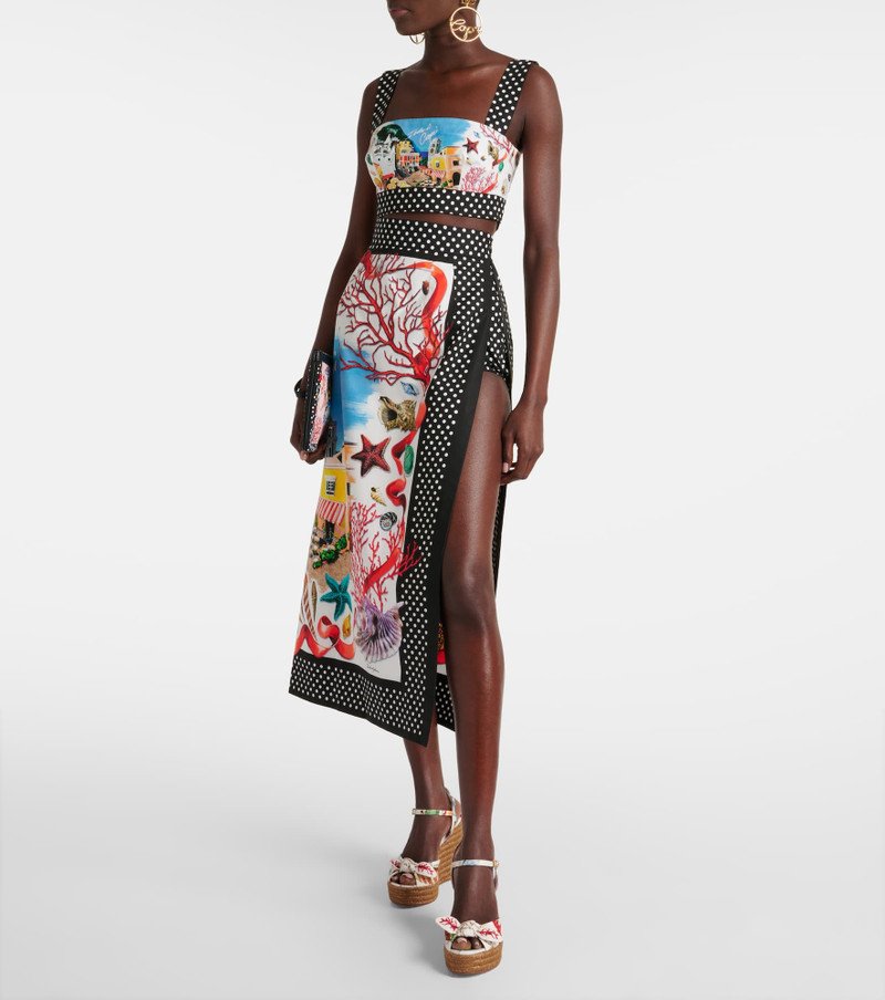 Dolce & Gabbana Capri printed cotton maxi skirt outlook