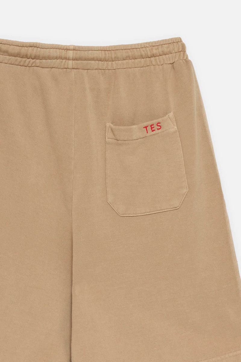The Elder Statesman DAILY BALL SHORT outlook