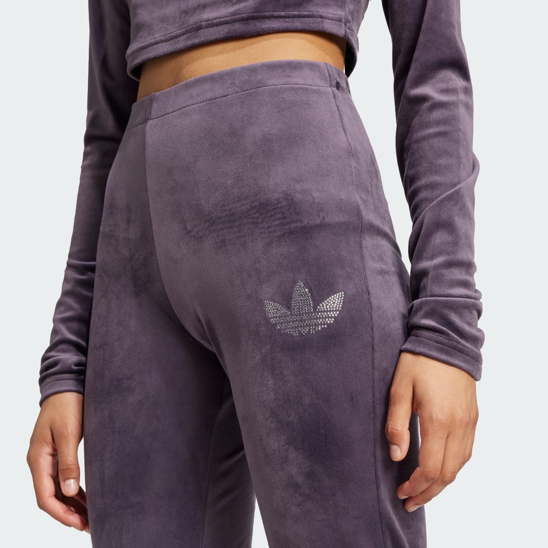 Velvet Pants With Rhinestone Trefoil - 6