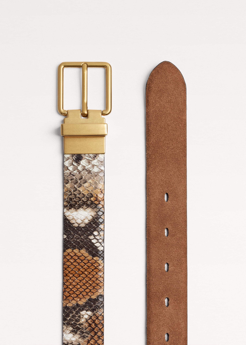 Reversible Belt 1