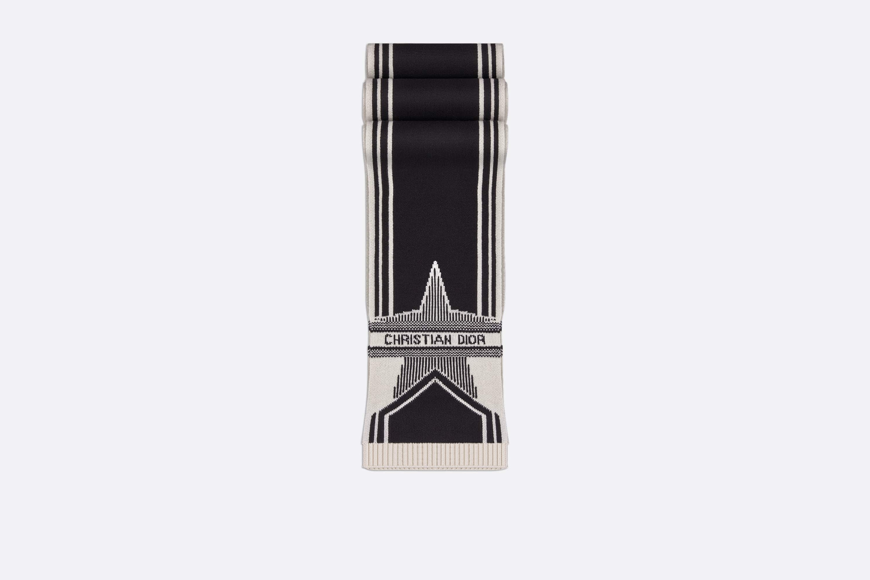 DiorAlps Scarf - 2