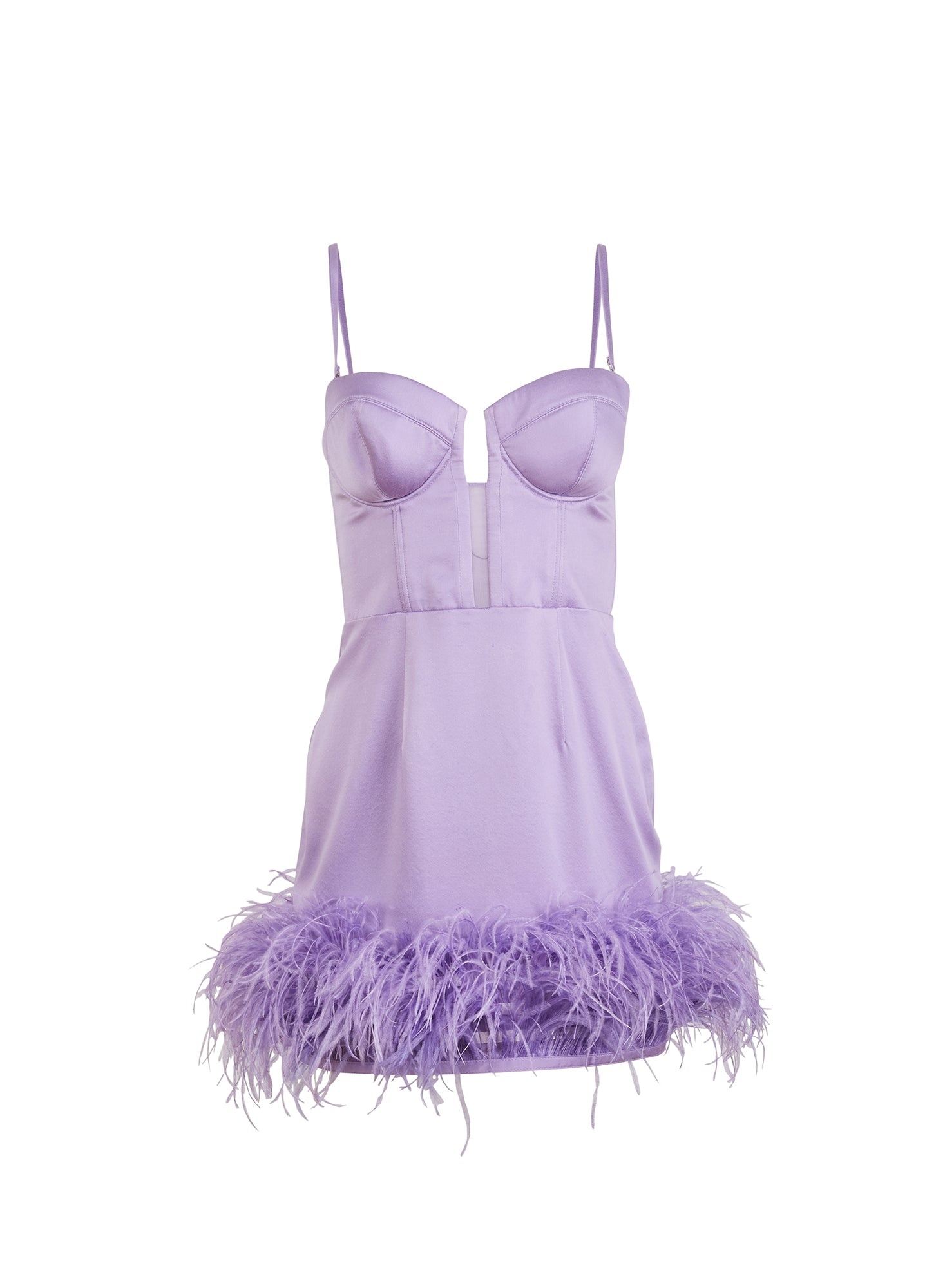 Feather Embellished Bustier Dress - 1