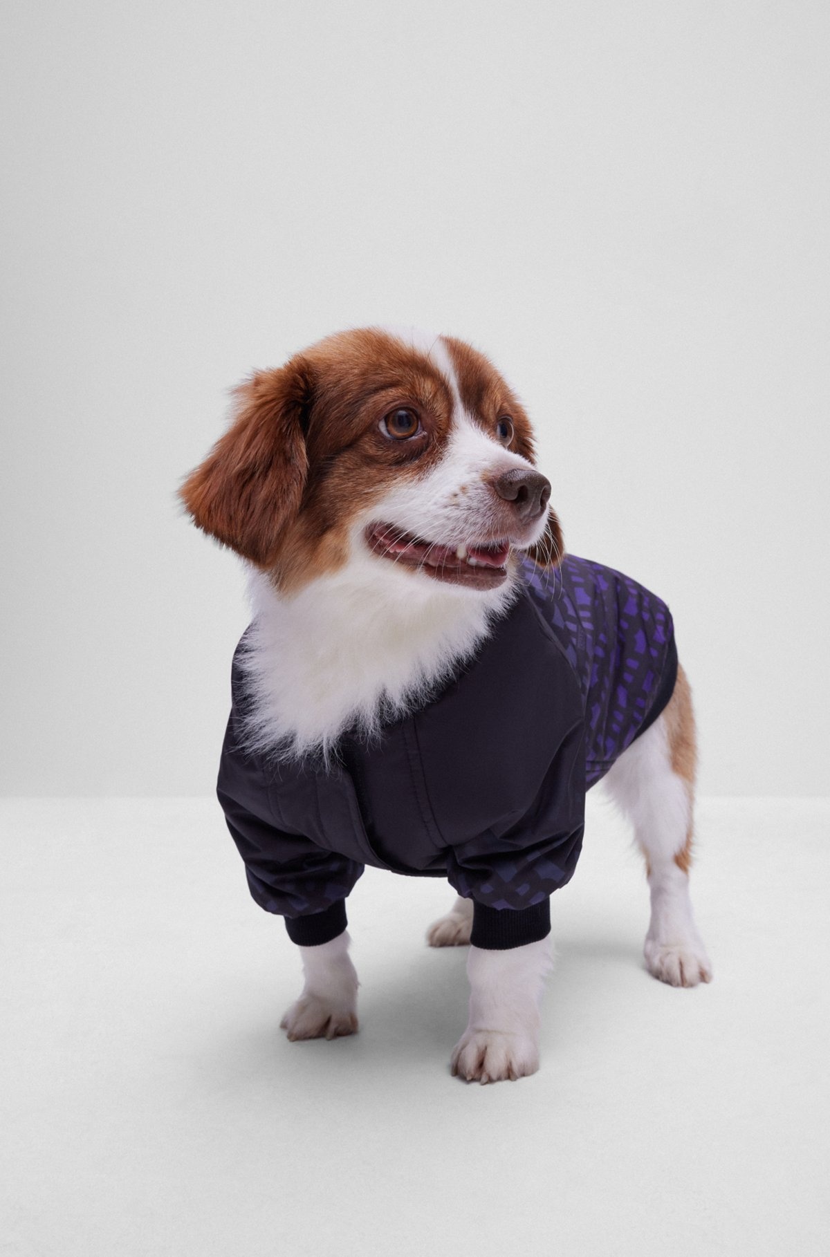DOG BOMBER JACKET WITH DEGRADÉ MONOGRAMS - 2