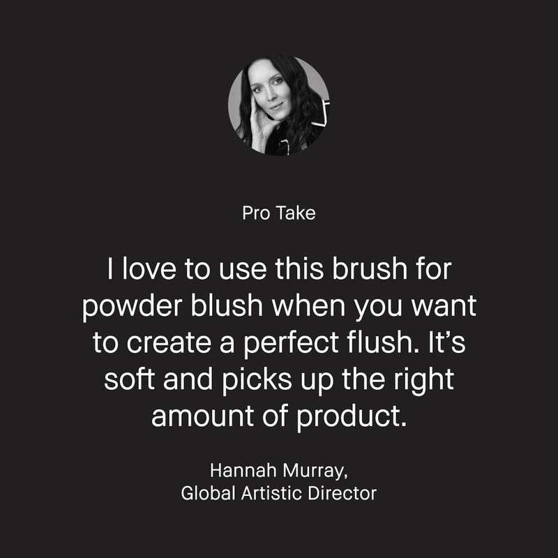 Blush Brush 7