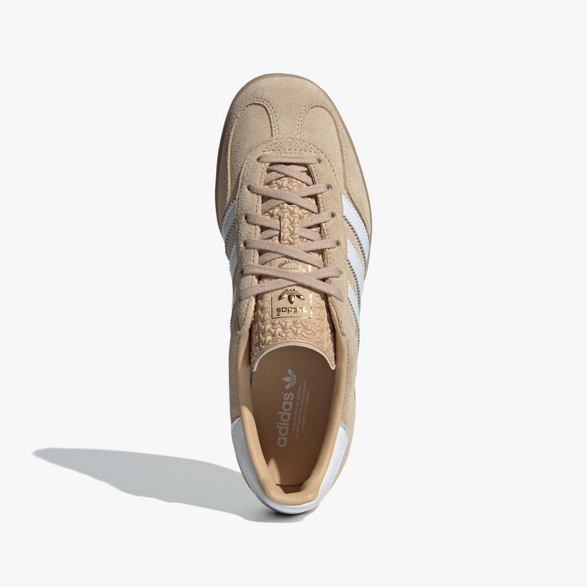 Gazelle Indoor - 2