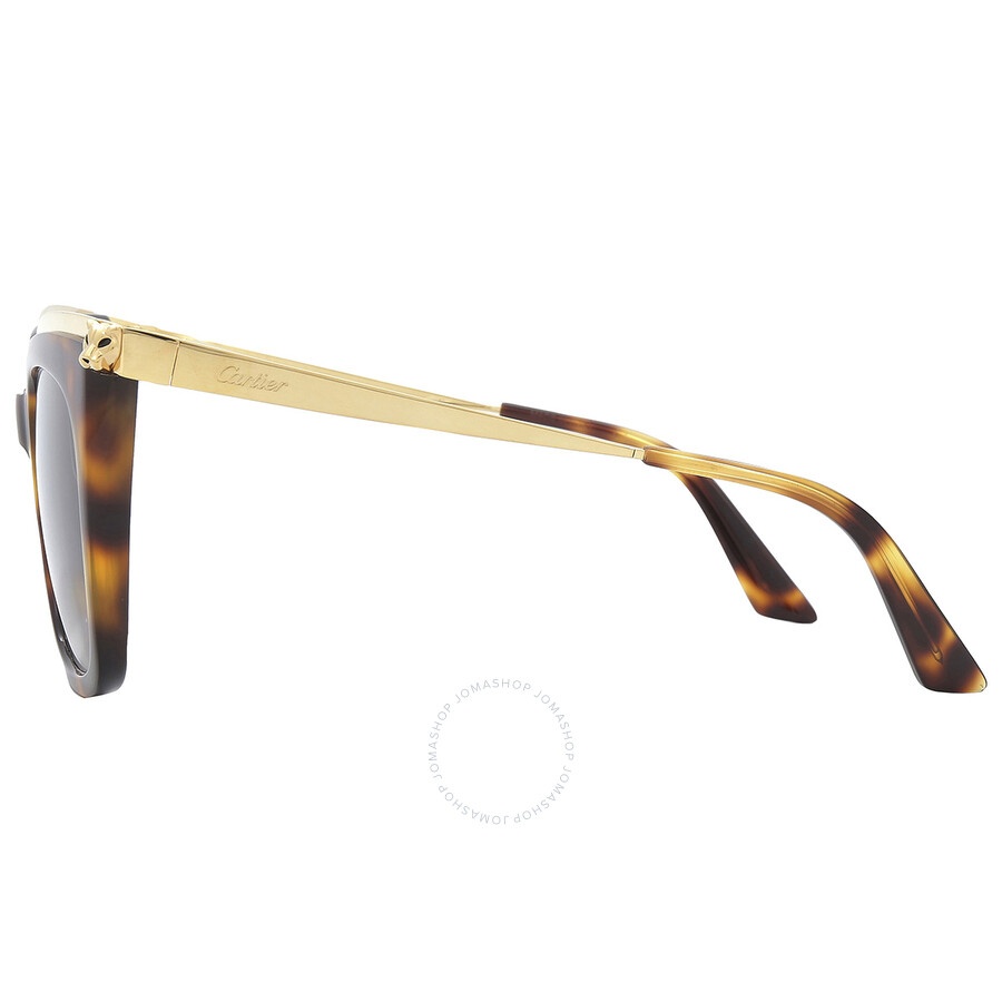 Cartier Grey Gradient Butterfly Ladies Sunglasses CT0030S 003 53 - 4