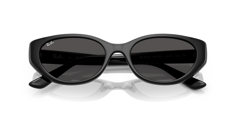 Ray-Ban RB4457D BIO-BASED outlook