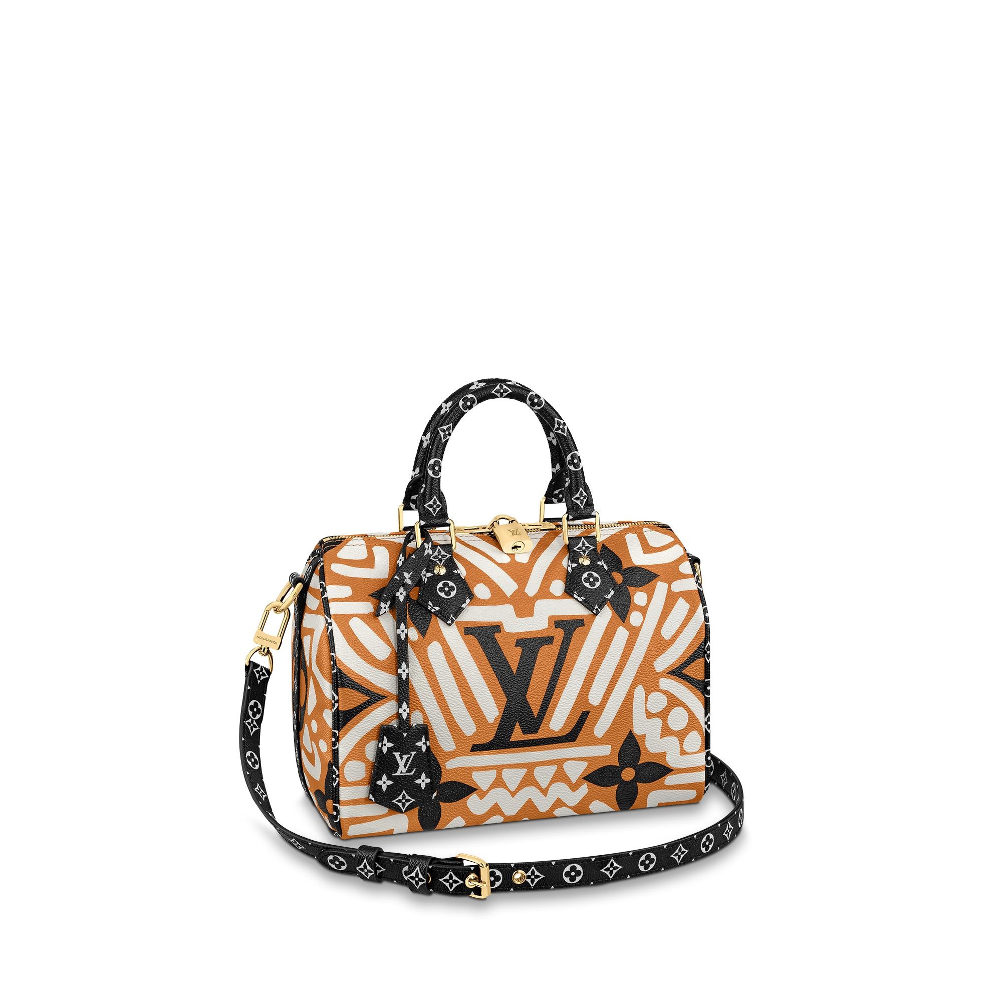 LV Crafty Speedy Bandoulière 25 - 1