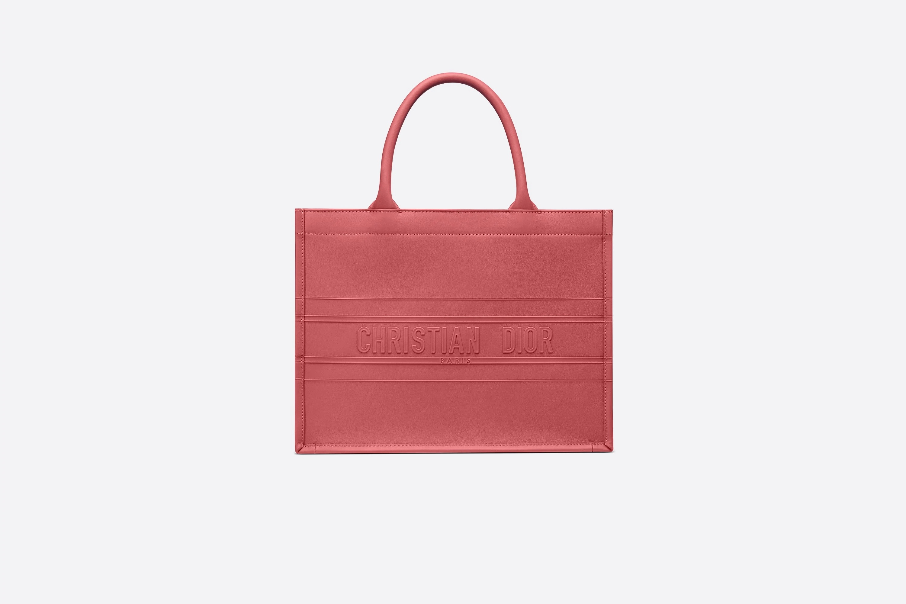 Small Dior Book Tote - 1