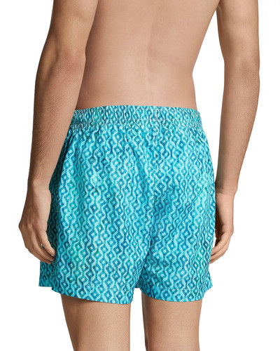 ZEGNA Technical Fabric Printed Swim Shorts outlook