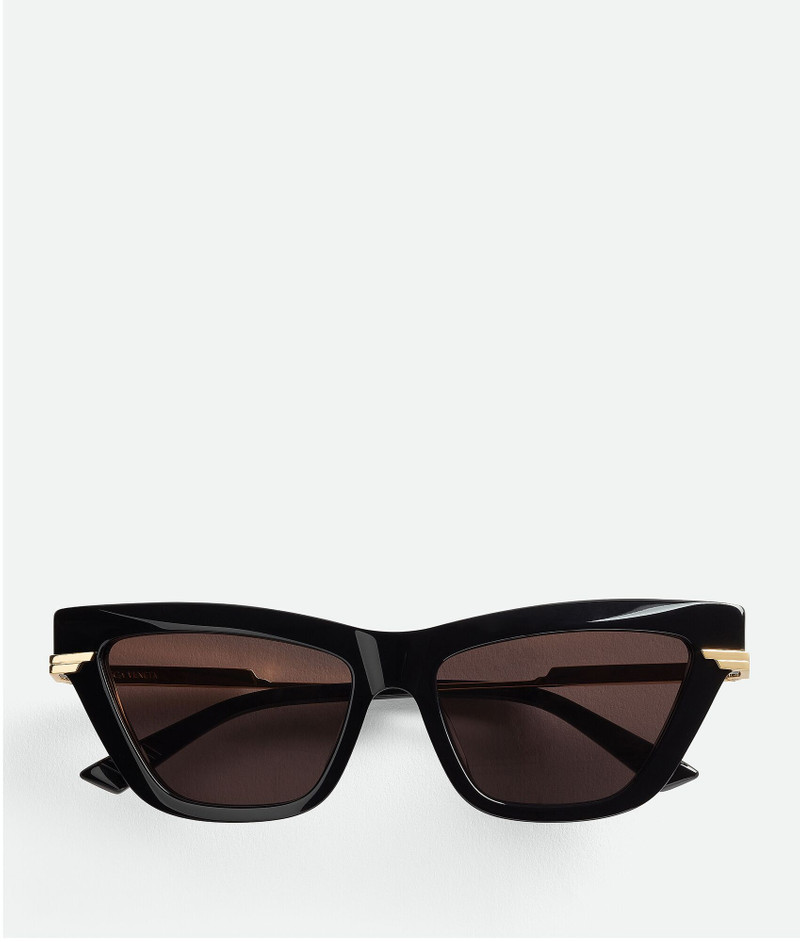 Classic Acetate Cat Eye Sunglasses 1