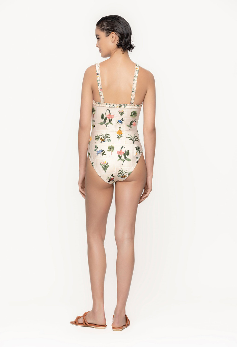 Limón Ranas One Piece 4