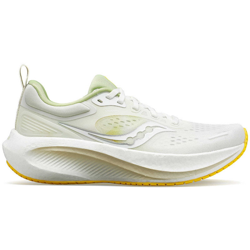 Surge 3 Mesh 1