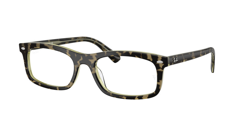 RB5450 OPTICS 3