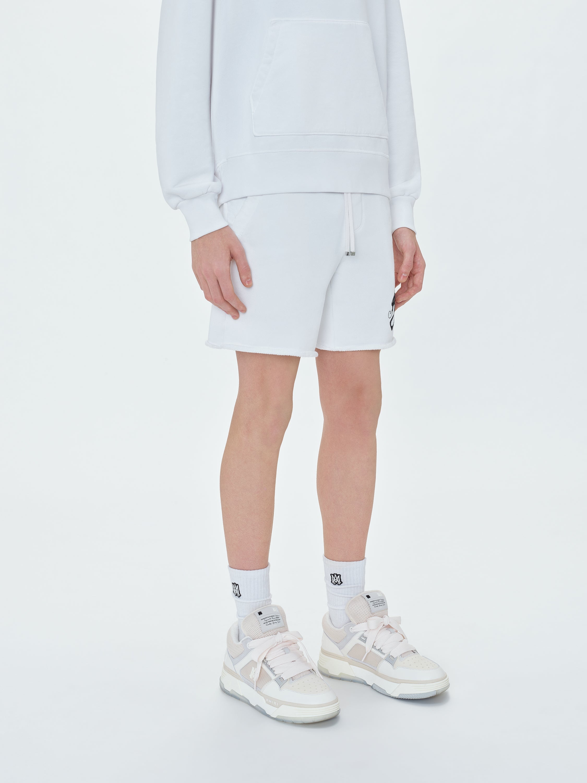 AMIRI 22 SHORTS - 3