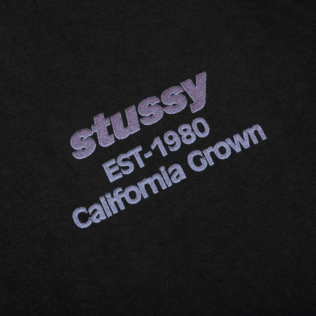 CALIFORNIA GROWN PIGMENT DYED TEE - BLACK - 4