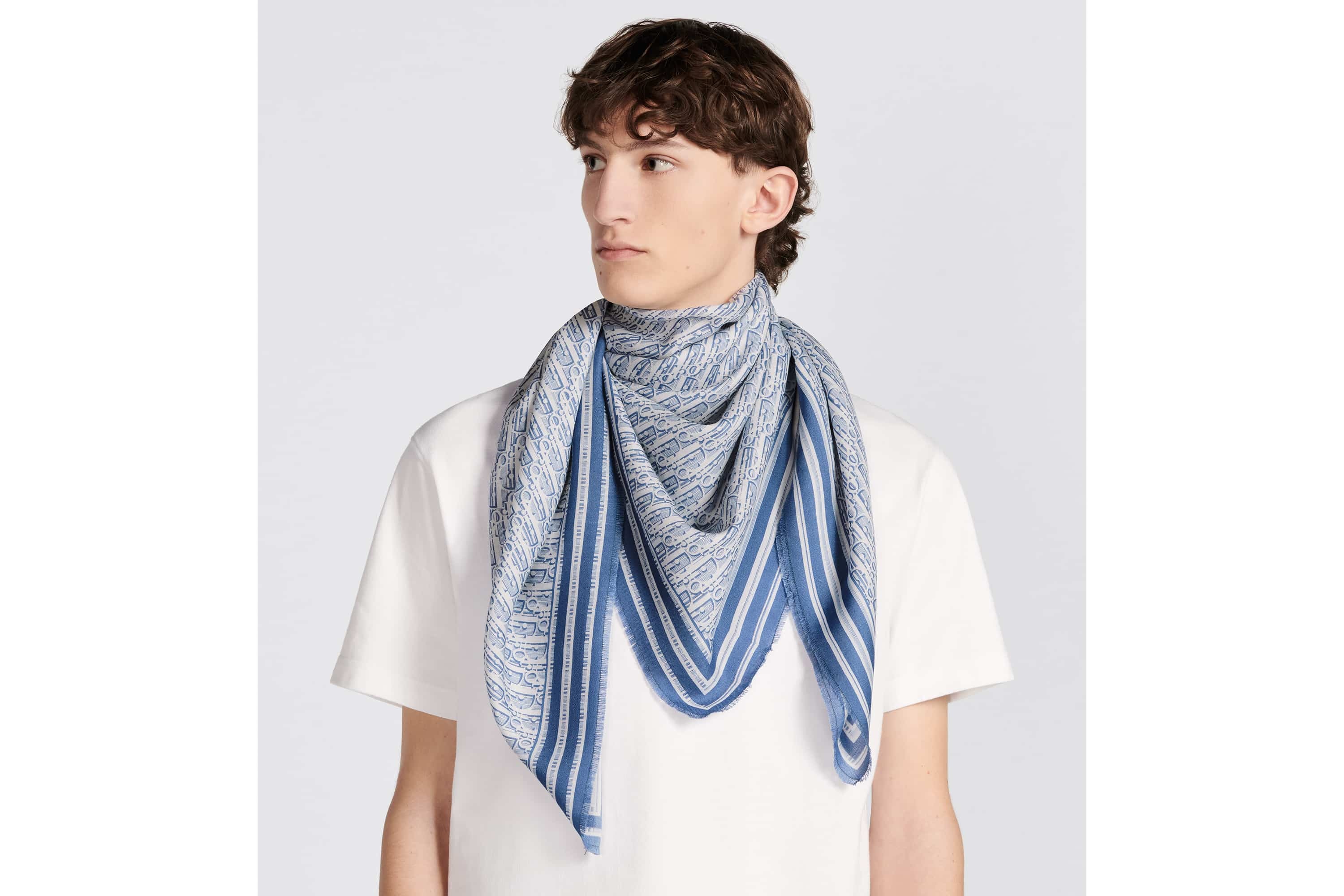 Dior Oblique Stole 5