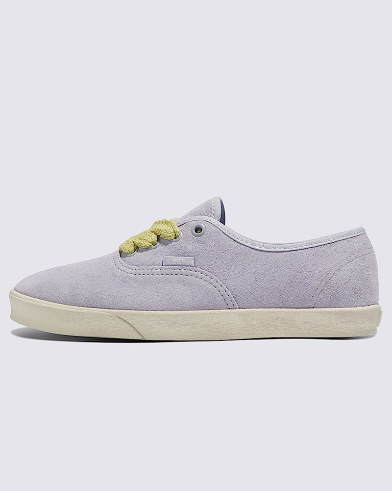 Authentic Lowpro Suede Shoe 1