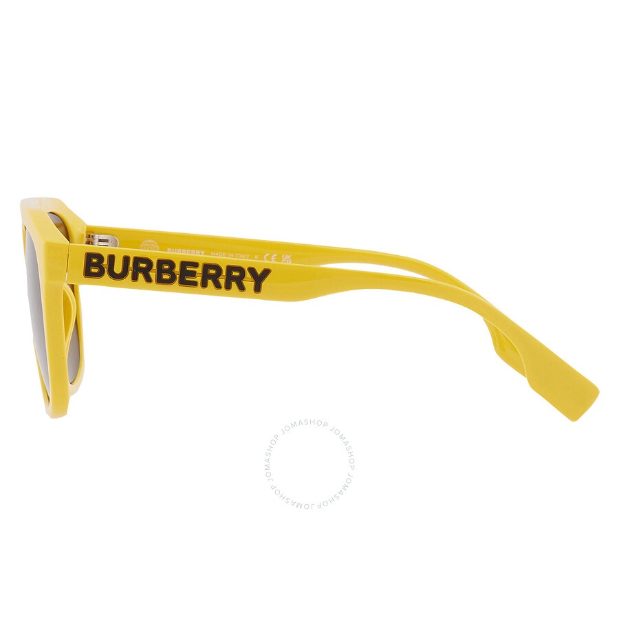 Burberry Wren Brown Browline Men's Sunglasses BE4396U 407073 57 - 4