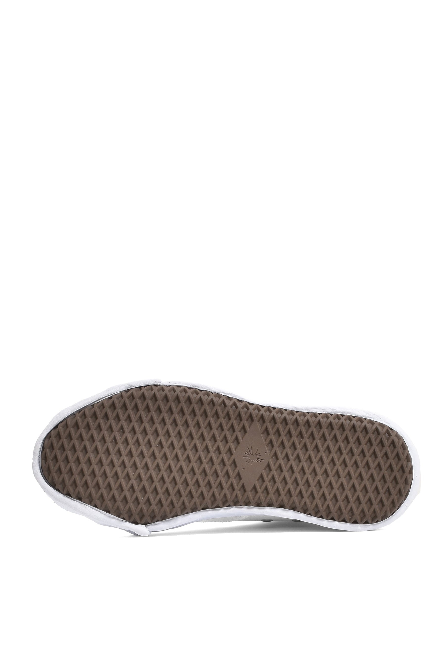 HANK HI TC OG CANVA / WHT - 5