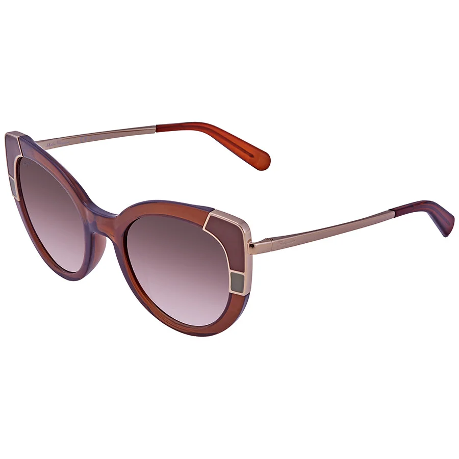 Salvatore Ferragamo Brown Gradient Cat Eye Ladies Sunglasses SF890S 210 52 - 1