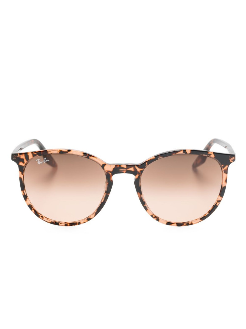 RB2203 sunglasses 1