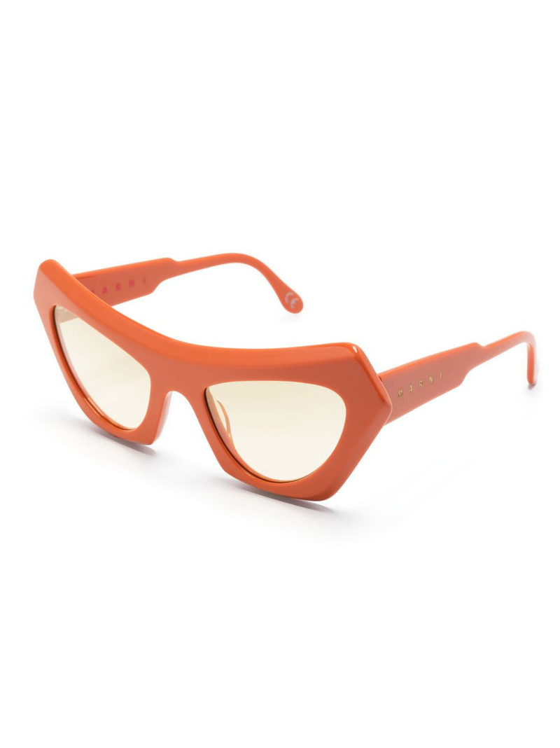 Marni Devil's Pool cat-eye frame sunglasses outlook