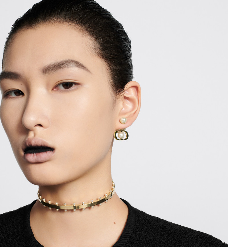 Dior Dior Tribales Earrings outlook