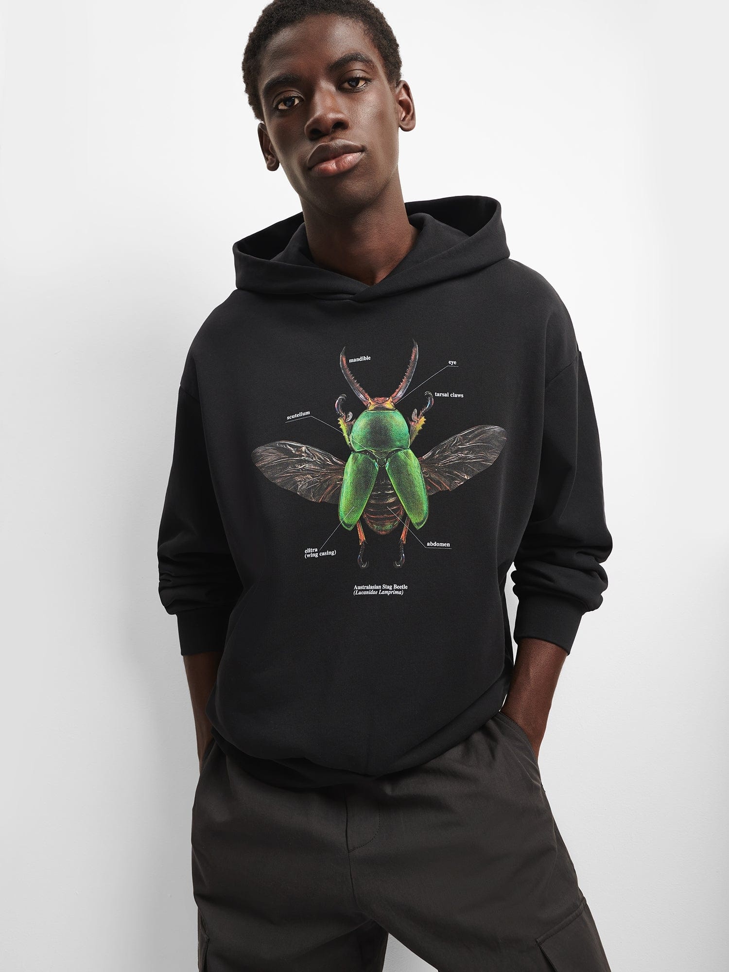 PANGAIA X Levon Biss Sawtooth Beetle Hoodie - Black - 6