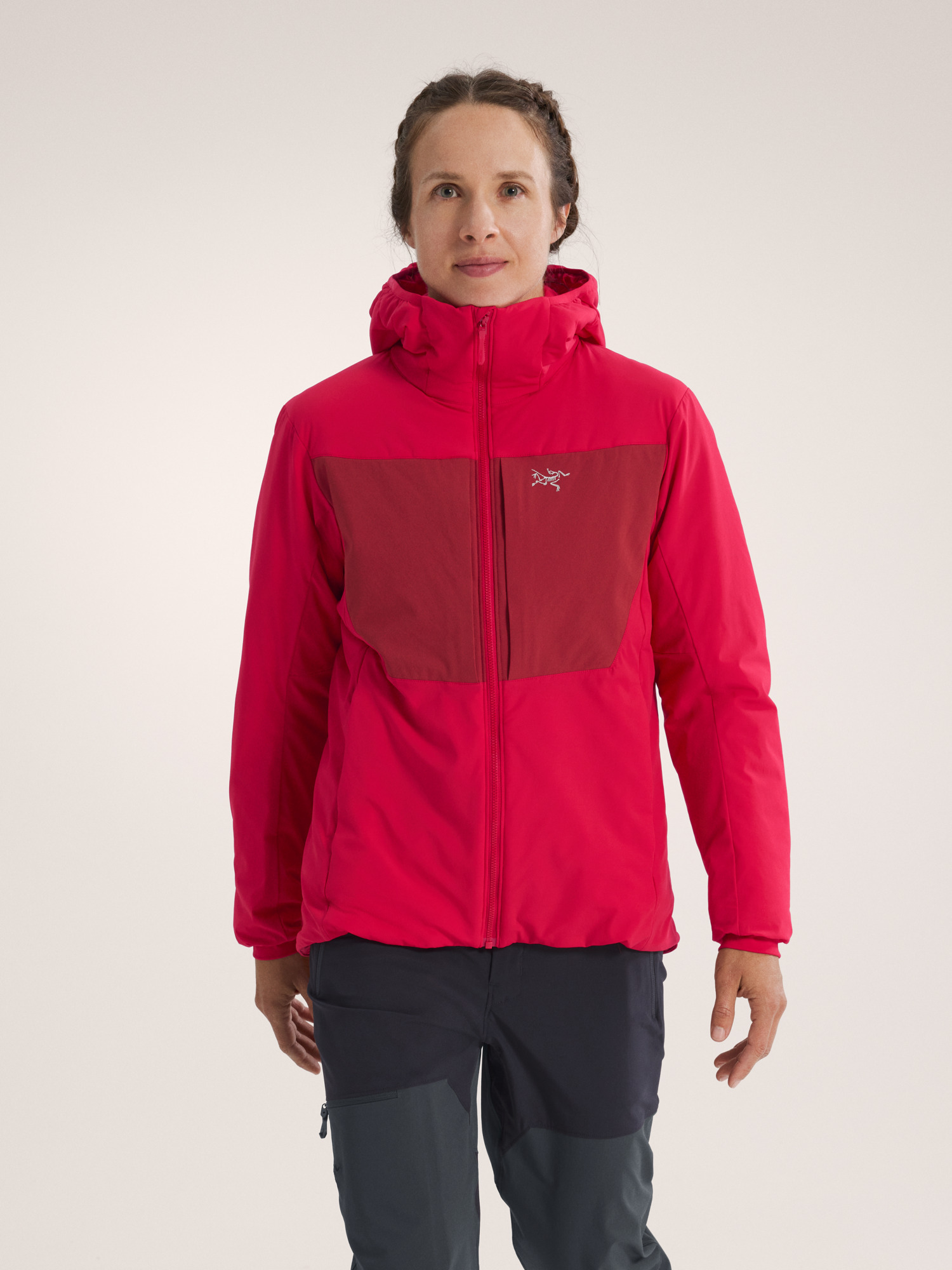 Proton Heavyweight Hoody - 2