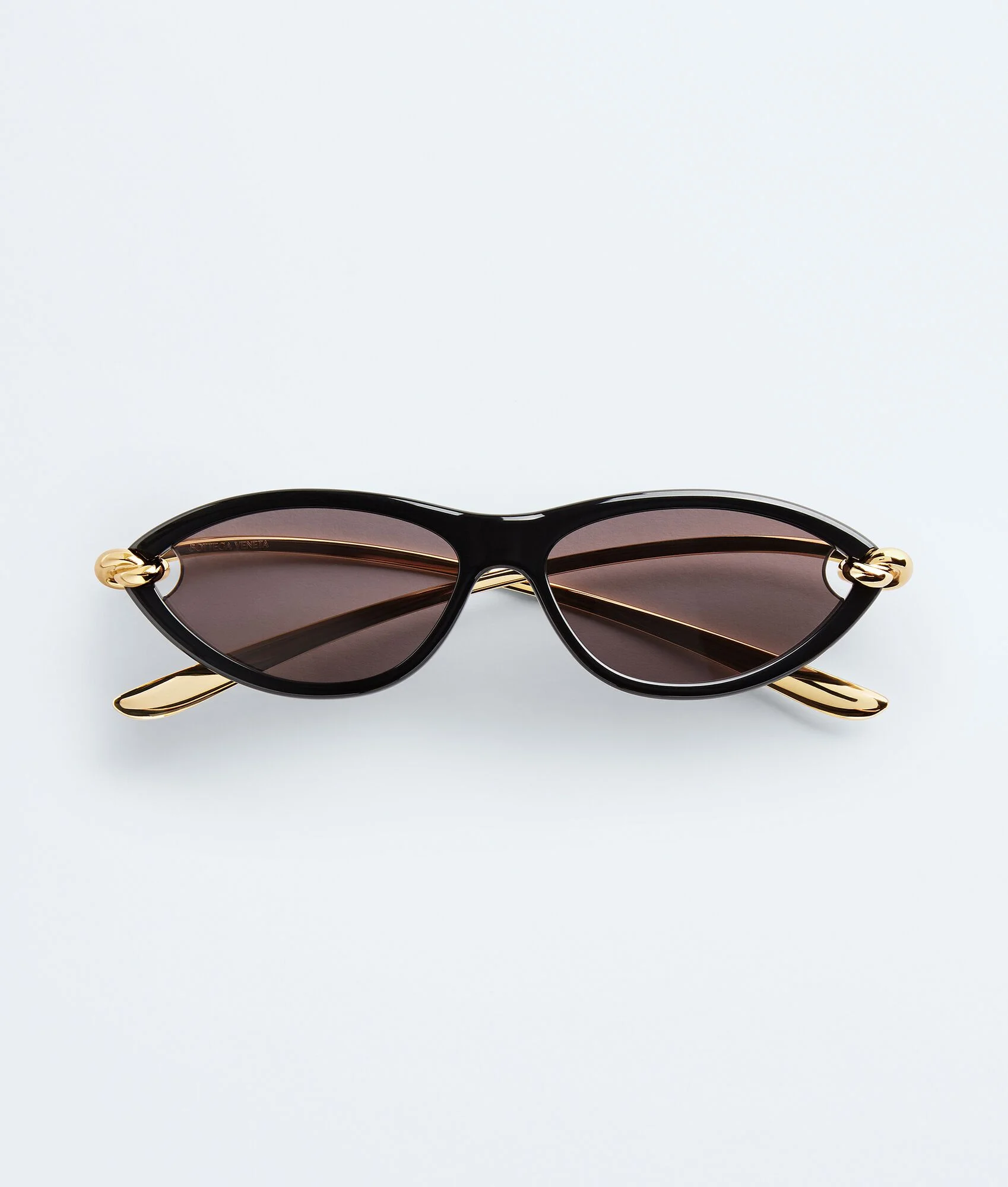 BV1390S Knot Cat Eye Sunglasses - 1