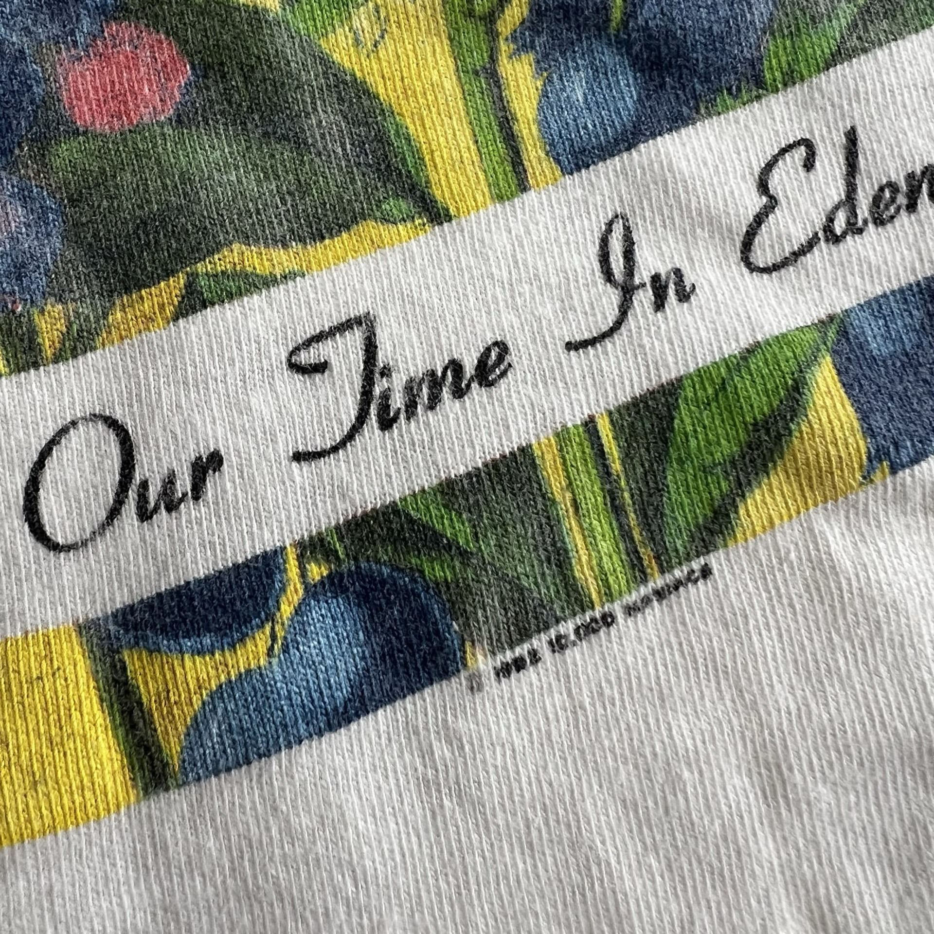 Final Blow - Vintage Ten Thousand Maniacs "Our Time in Eden" T-Shirt SZ L - 3