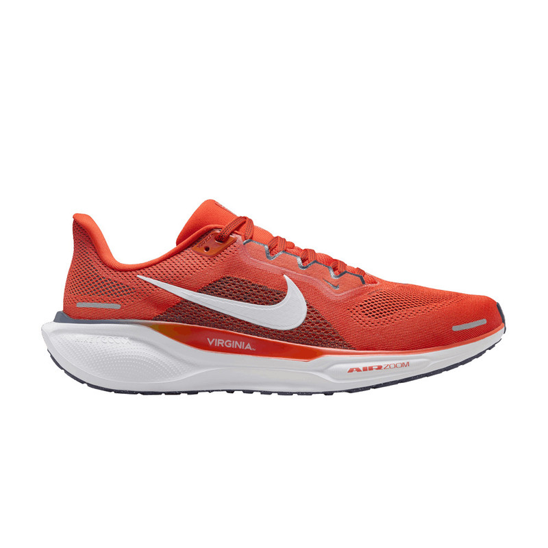 Air Zoom Pegasus 41 'Virginia' - 1
