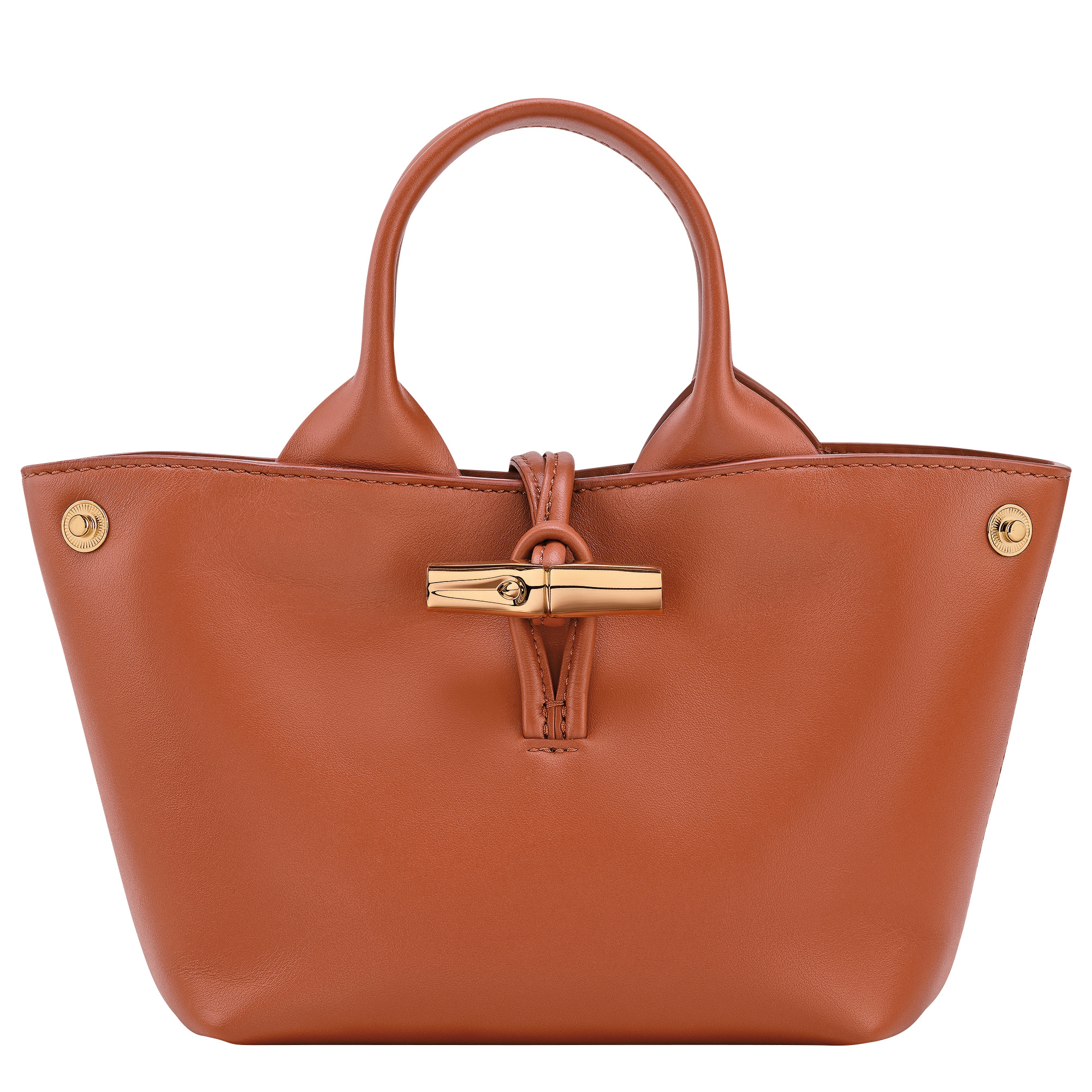 Le Roseau XS Handbag Bark - Leather - 5