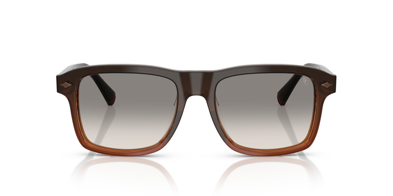 Brunello Cucinelli BC4014S outlook