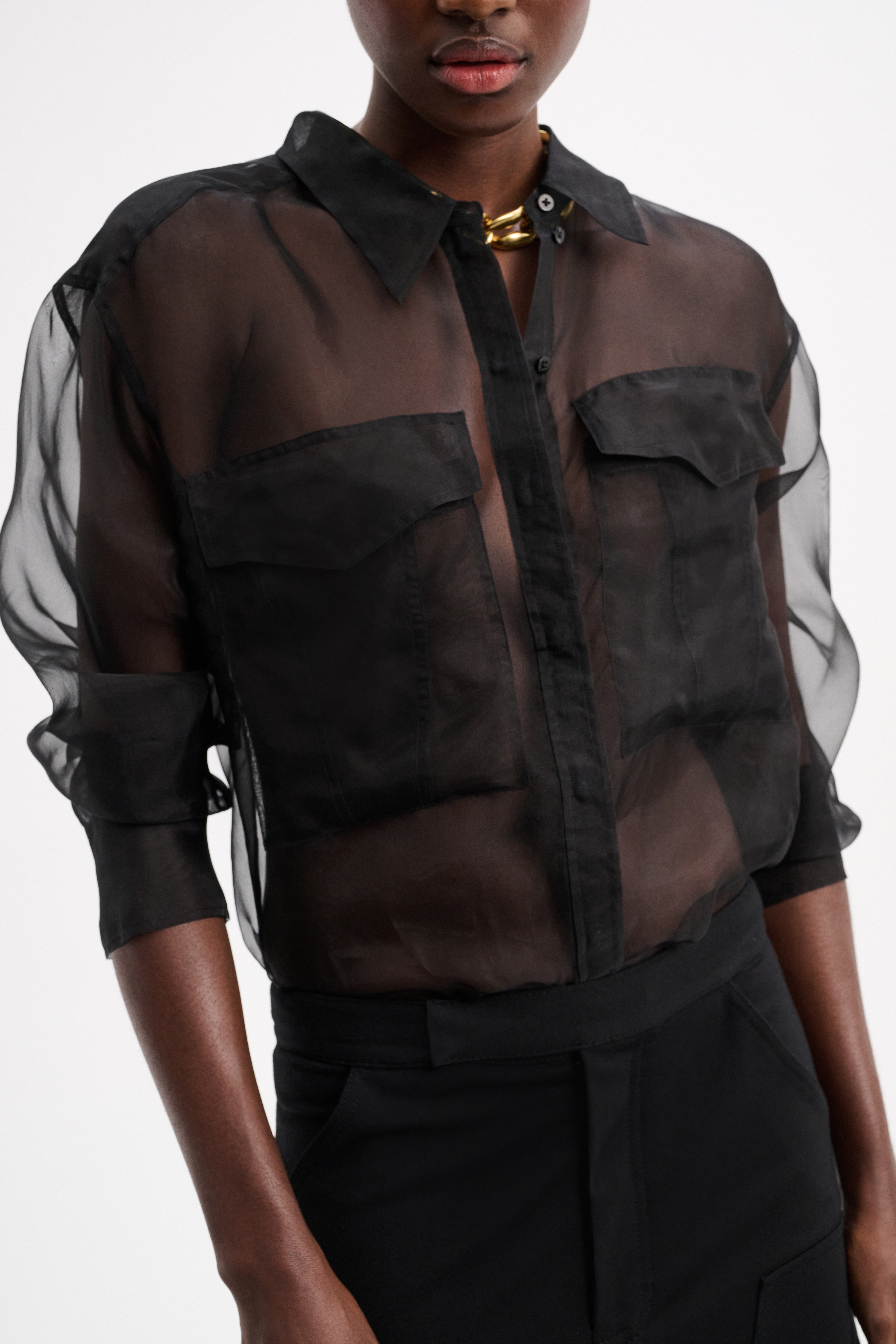 SHEER OPULENCE blouse - 3