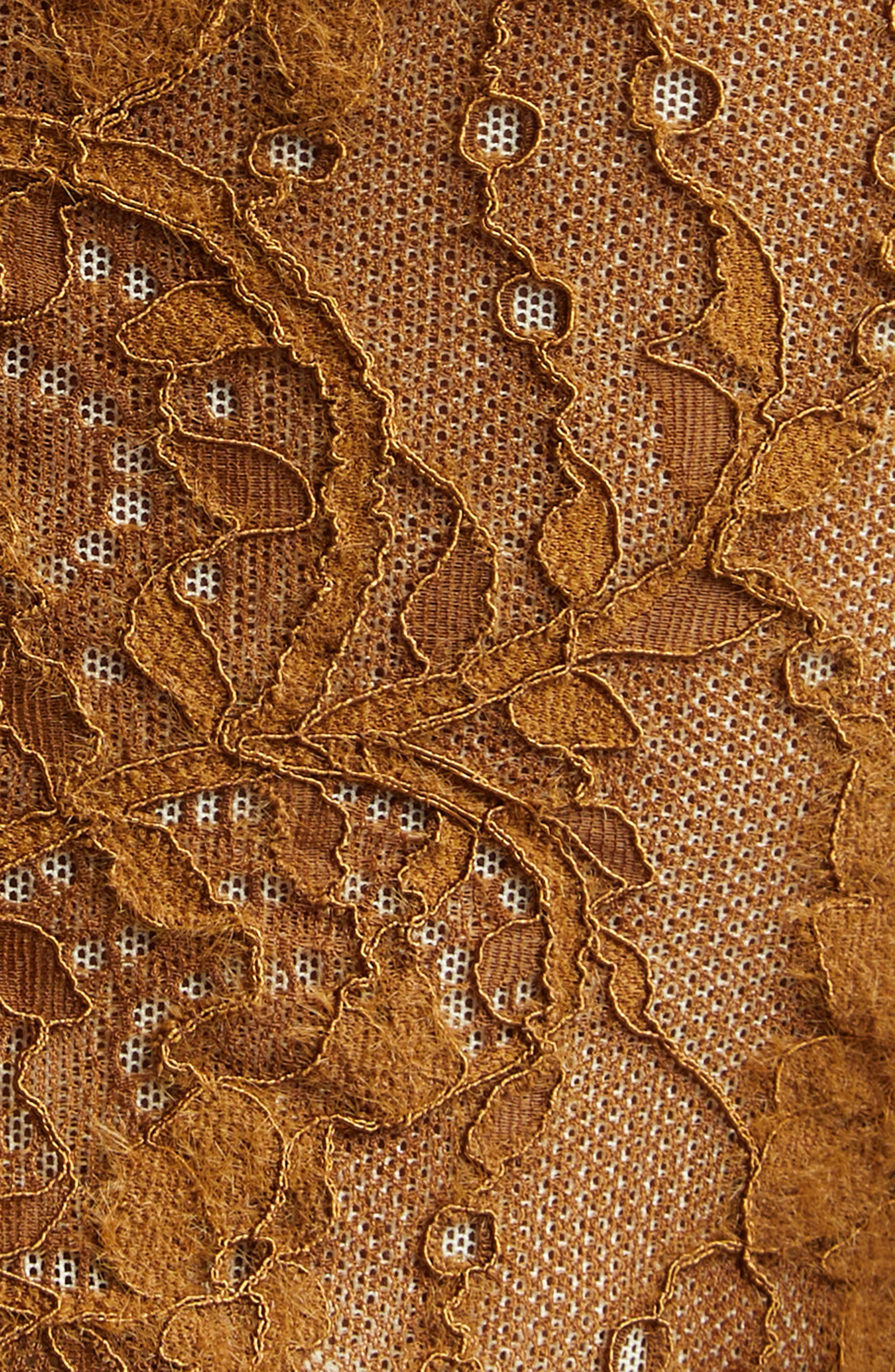 Zimmermann Scoop Neck Lace Bodysuit in Hazelnut at Nordstrom - 7