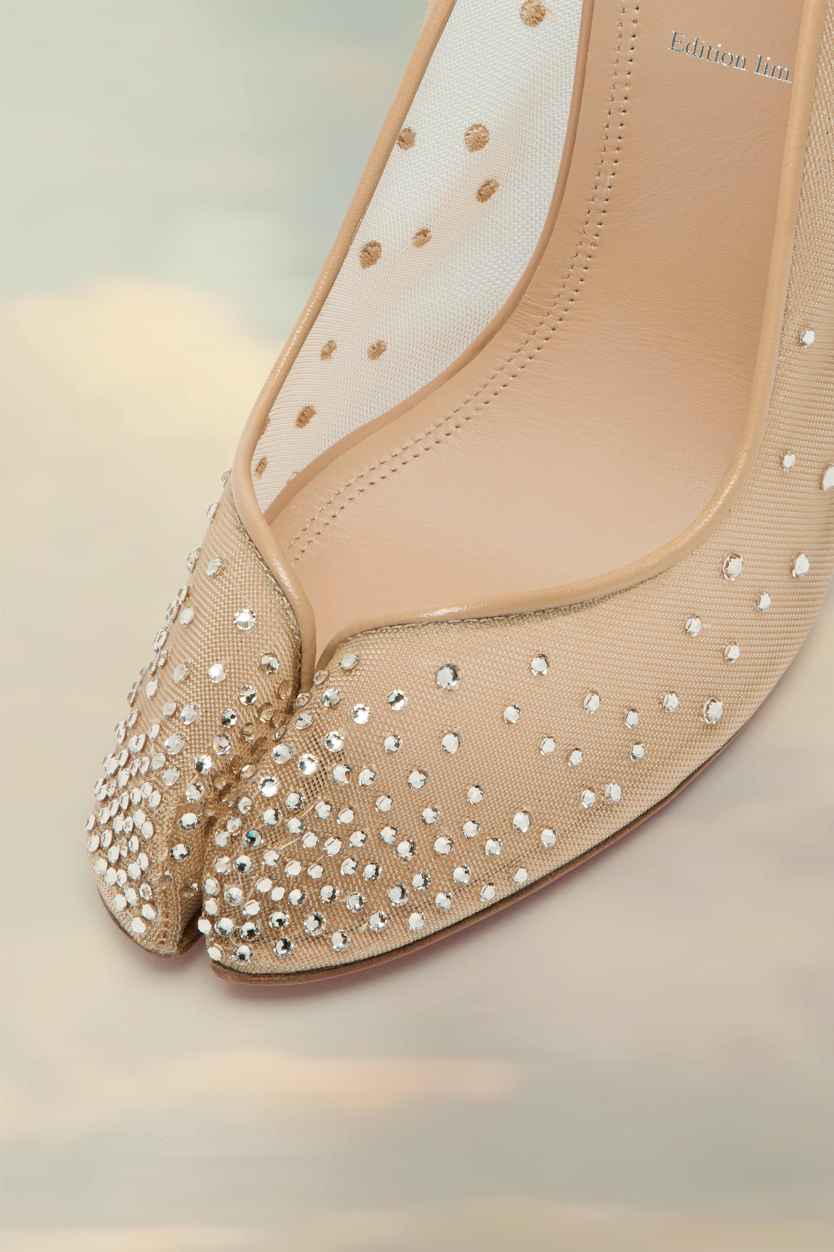 Bridiela Una Strass - 5