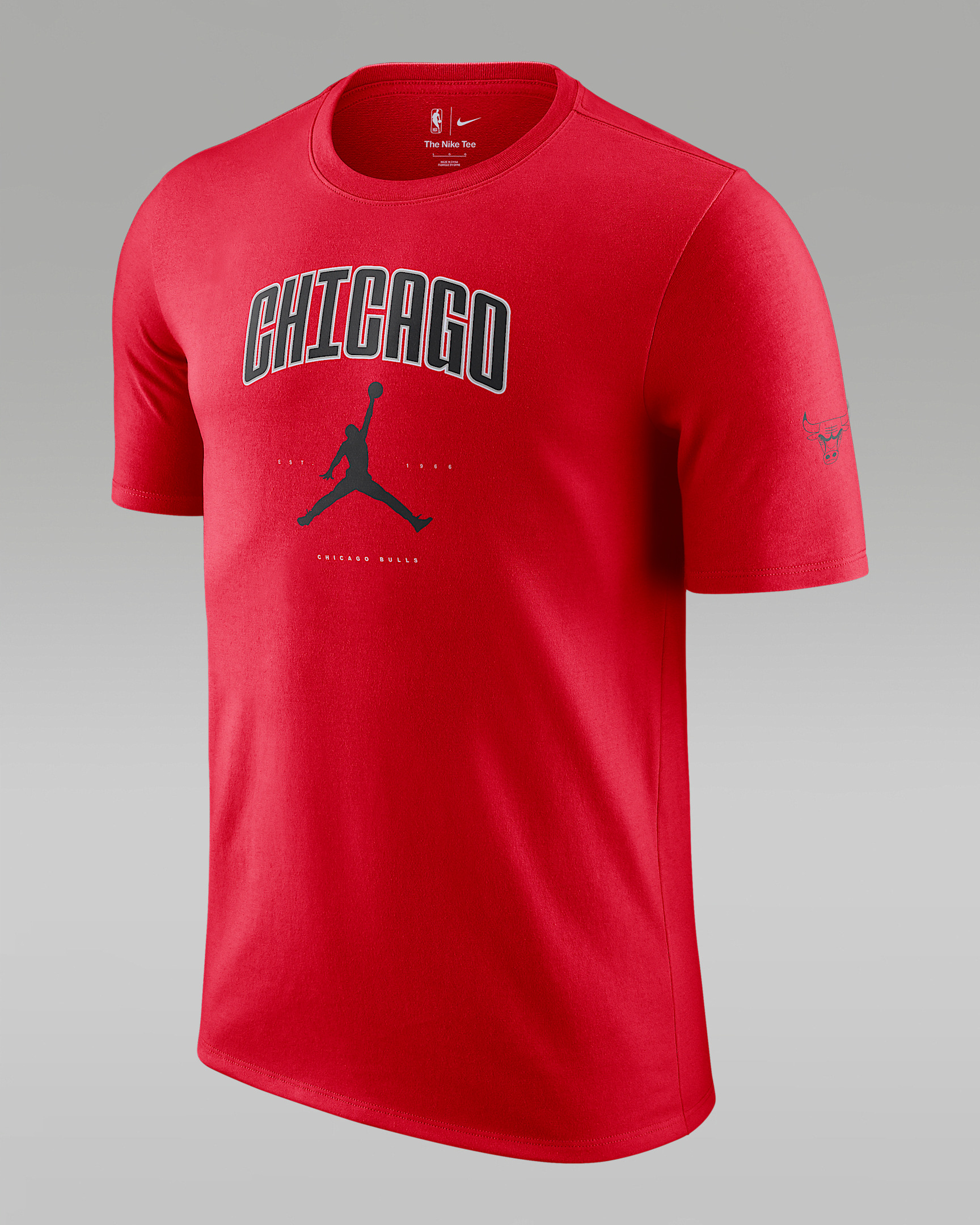 Chicago Bulls Essential Men's Jordan NBA T-Shirt - 1