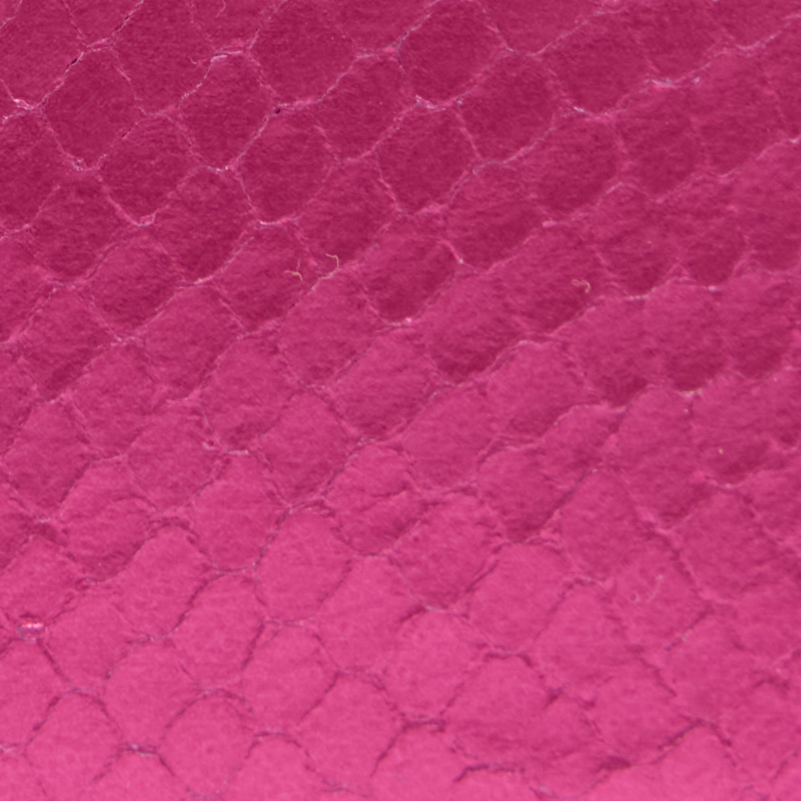 Coin Purse with Snake Print - 3