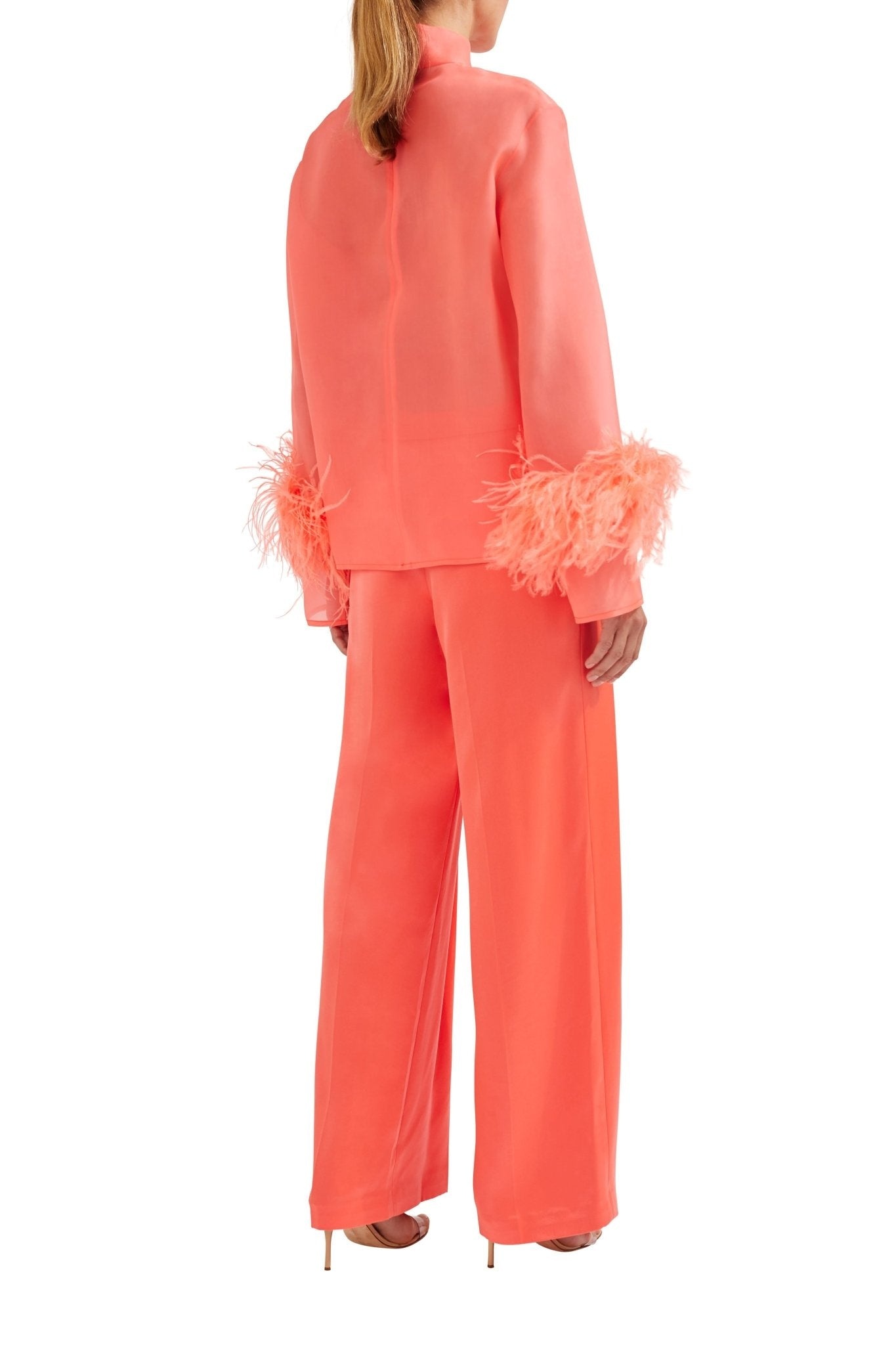 Organza Top With Feathers - 4