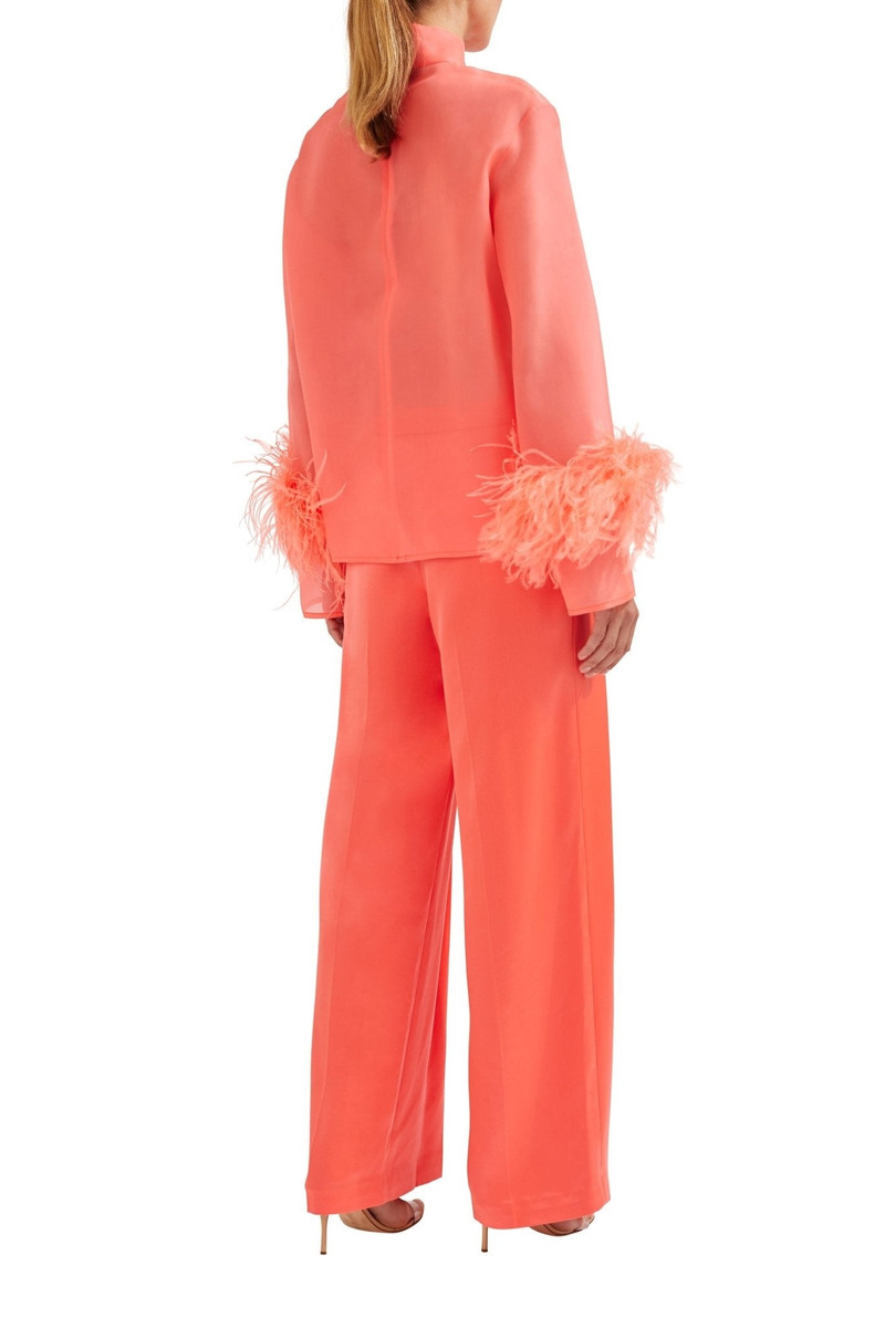 Organza Top With Feathers 4