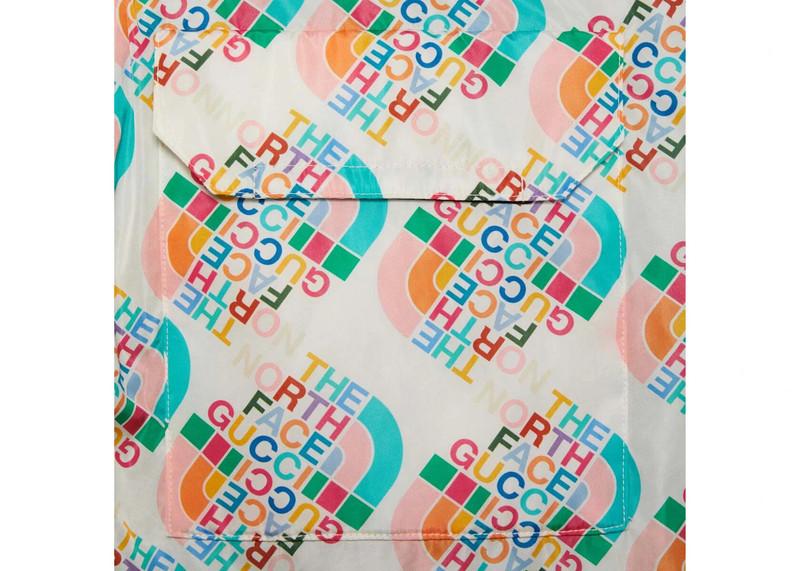 GUCCI Gucci x The North Face Nylon Pants Ivory/Multicolor outlook