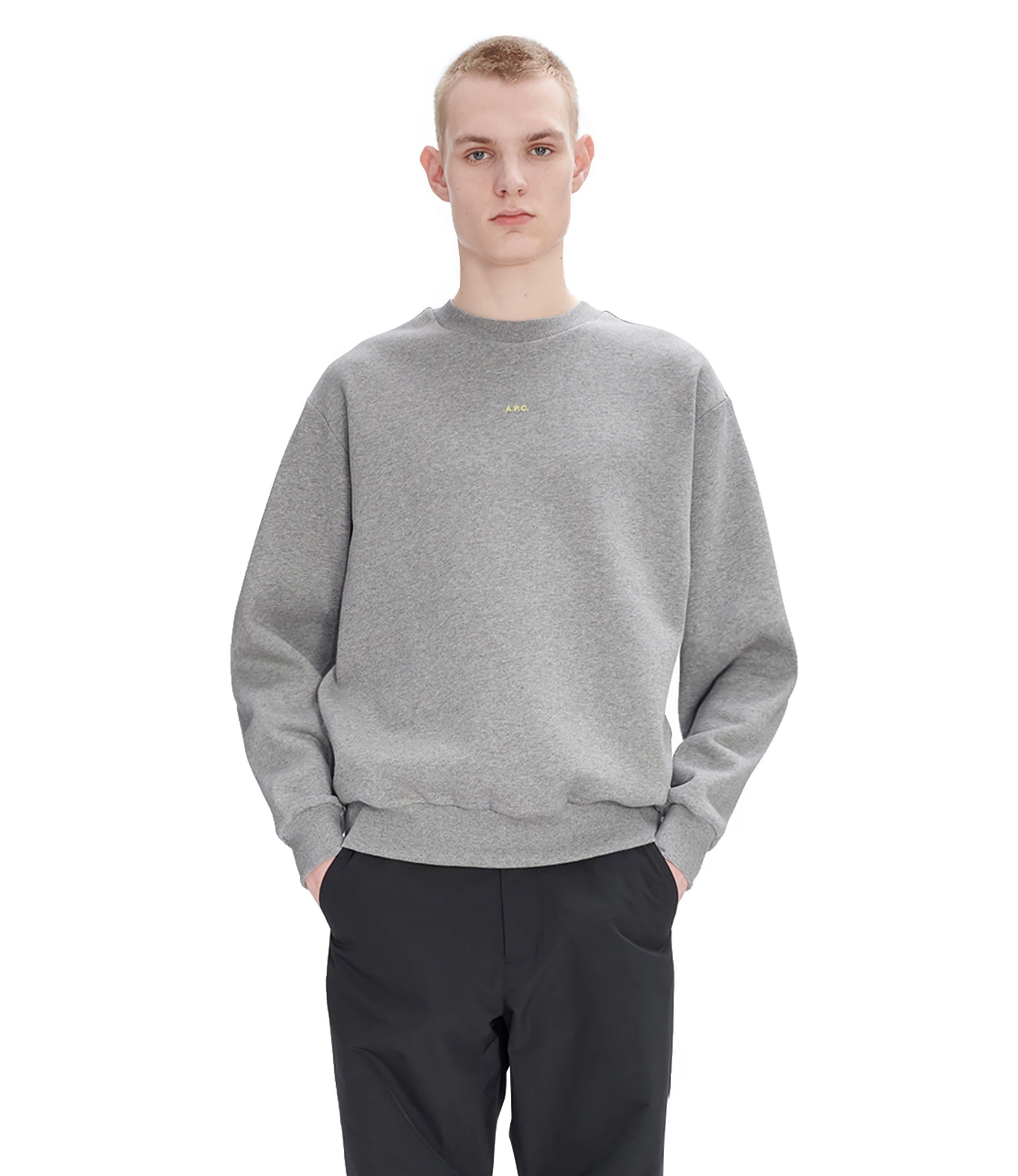 スウェット・トレーナー A.P.C. COTTON JERSEY SWEATSHIRT WITH MICRO LOGO A.P.C. BOXY MICRO LOGO SWEATSHIRT | REVERSIBLE