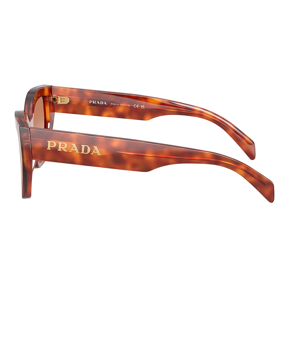 Cat Eye Sunglasses - 3